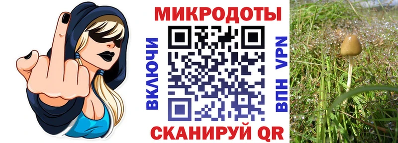 закладка  Усмань  Галлюциногенные грибы прущие грибы 